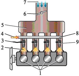 Схема многоточечного впрыска топлива