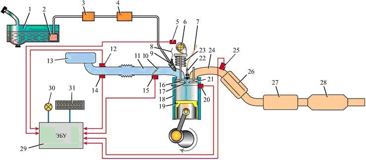 Схема расположения основных узлов системы впрыска топлива
